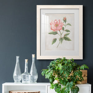 Grandiflora II - Barnwood Framed Art Print