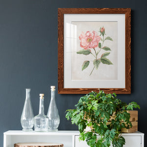 Grandiflora II - Barnwood Framed Art Print