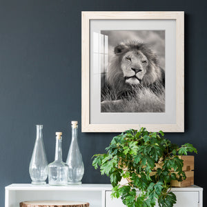 Pride of the Pride - Barnwood Framed Art Print