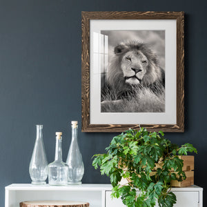 Pride of the Pride - Barnwood Framed Art Print