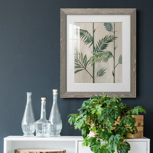 Modern Fronds II - Barnwood Framed Art Print