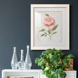 Grandiflora III - Barnwood Framed Art Print