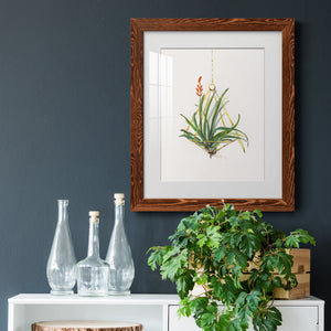 Gardenaire I - Barnwood Framed Art Print