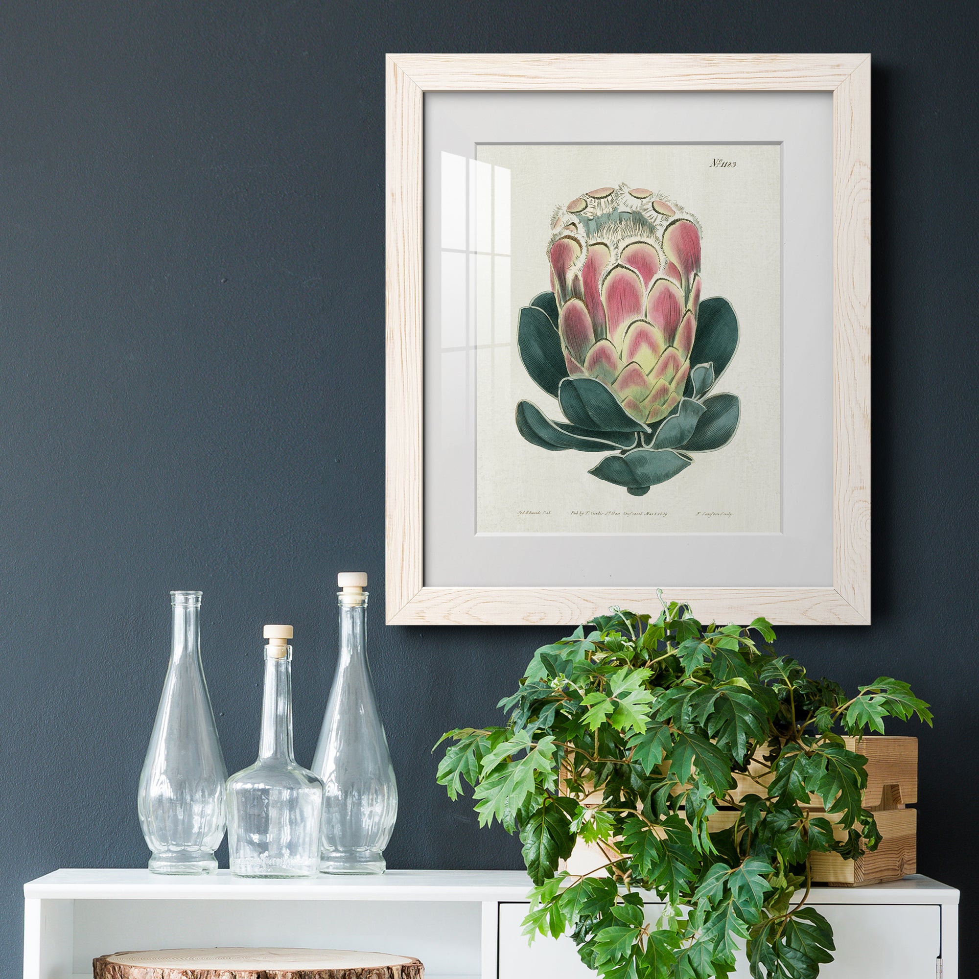 Protea N83 - Barnwood Framed Art Print