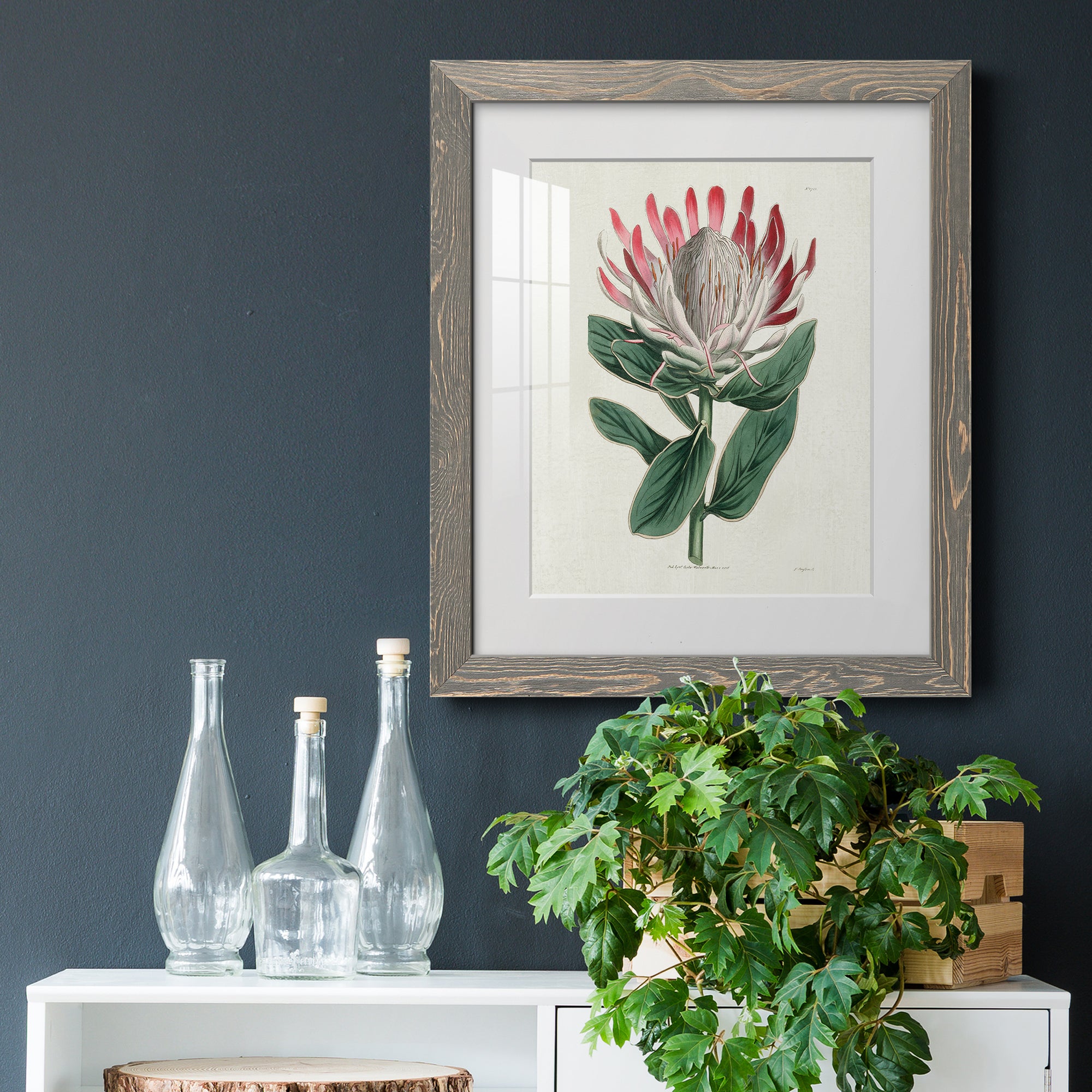 Protea N13 - Barnwood Framed Art Print