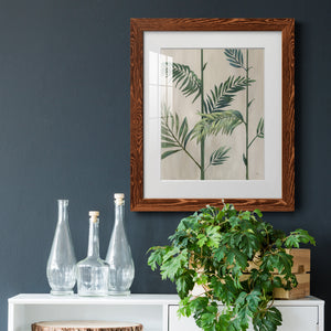 Modern Fronds II - Barnwood Framed Art Print