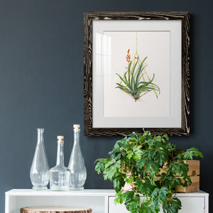 Gardenaire I - Barnwood Framed Art Print