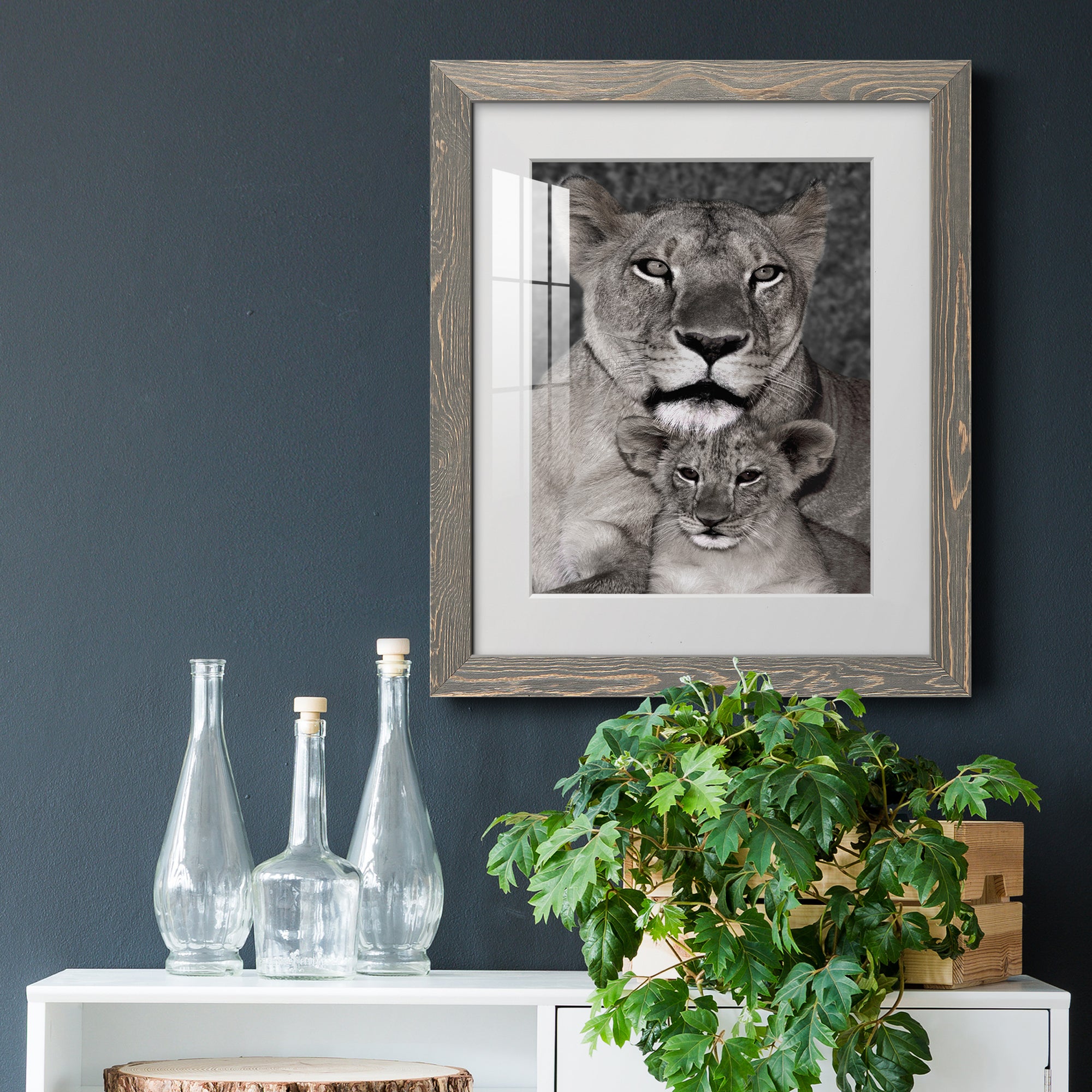 Lioness and Cub - Barnwood Framed Art Print