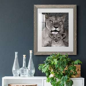 Lioness and Cub - Barnwood Framed Art Print