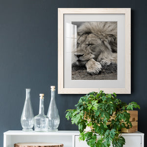 Sleepy Afternoon in Masai Mara - Barnwood Framed Art Print