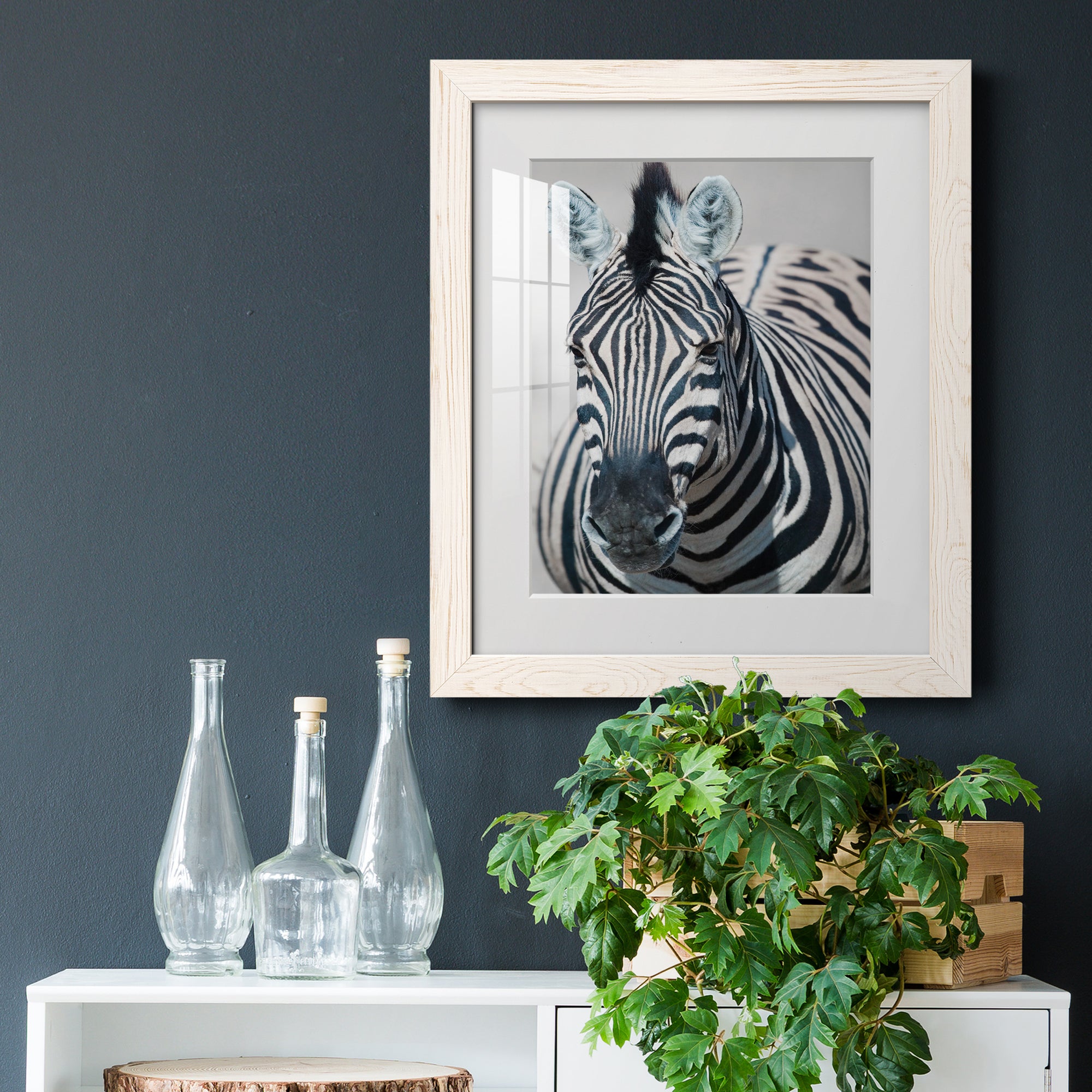 Namibia Zebra - Premium Framed Print - Distressed Barnwood Frame - Ready to Hang