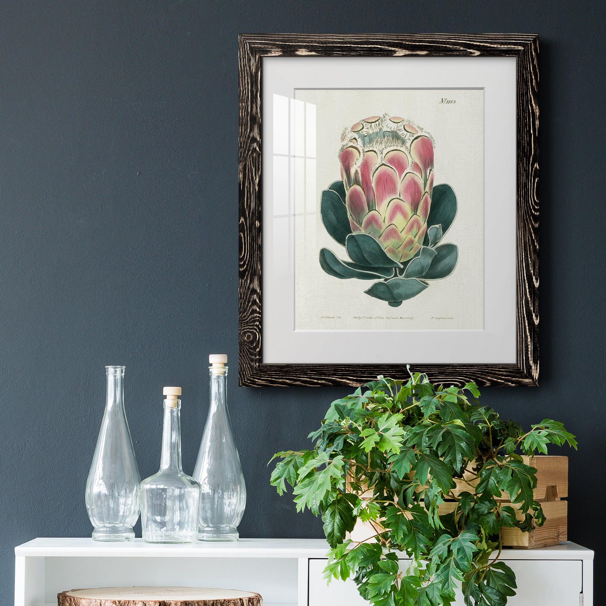 Protea N83 - Barnwood Framed Art Print