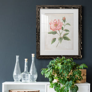 Grandiflora II - Barnwood Framed Art Print