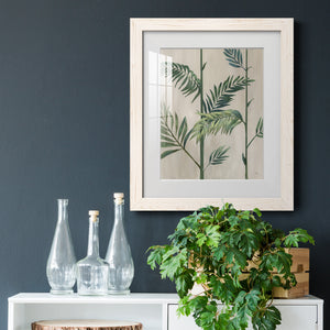 Modern Fronds II - Barnwood Framed Art Print