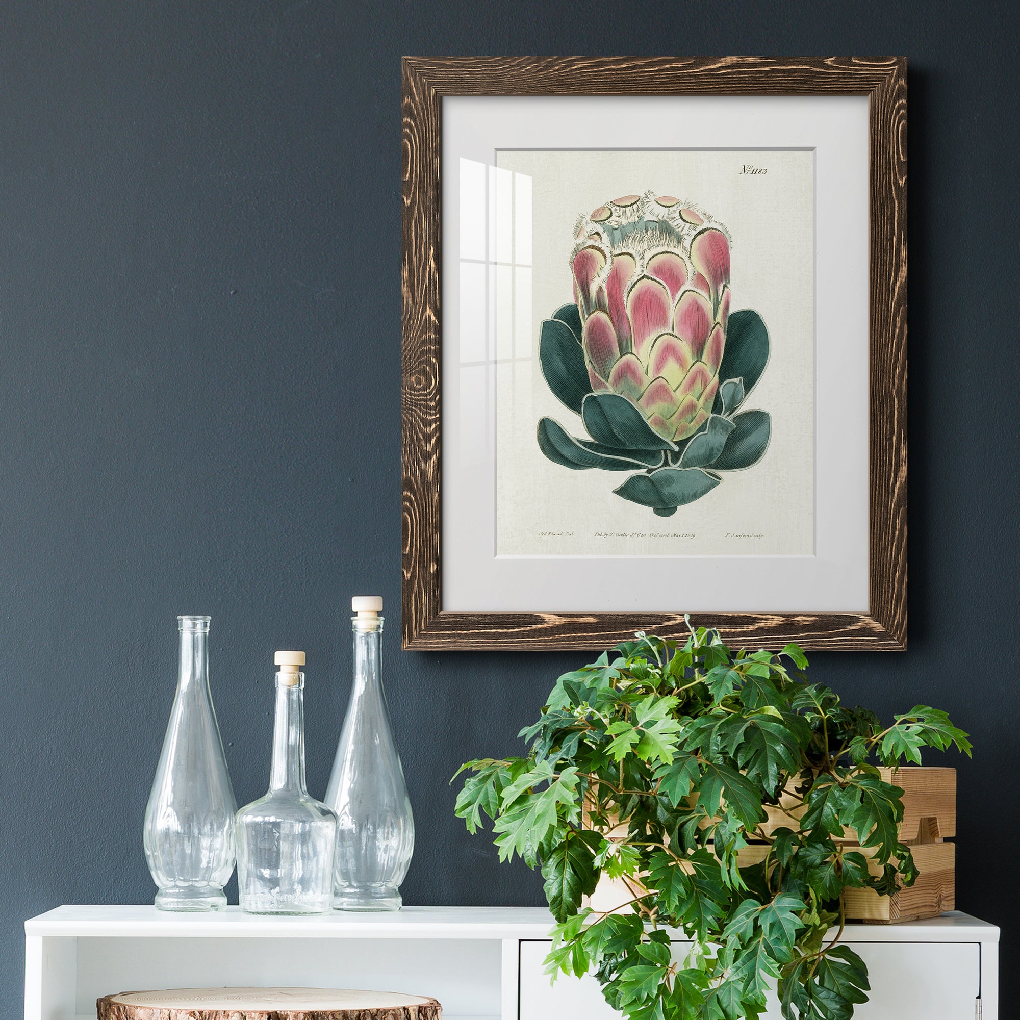 Protea N83 - Barnwood Framed Art Print