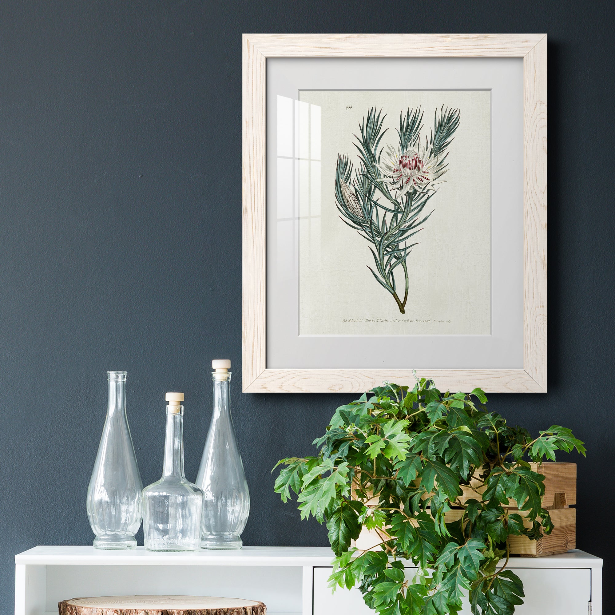 Protea N33 - Barnwood Framed Art Print