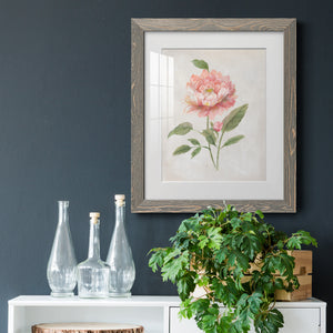 Grandiflora III - Barnwood Framed Art Print