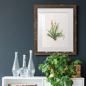 Gardenaire I - Barnwood Framed Art Print