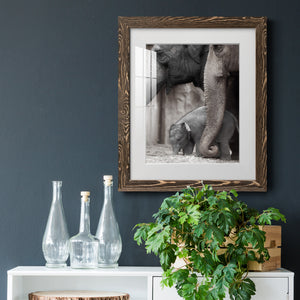 Family Moment - Barnwood Framed Art Print