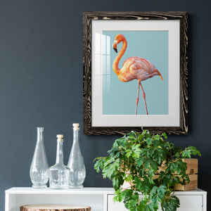 Flamingo - Barnwood