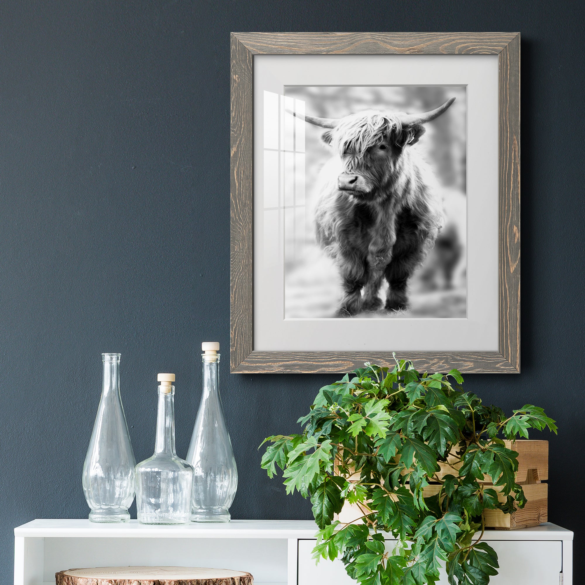 Yorkshire Highland - Premium Framed Print - Distressed Barnwood Frame - Ready to Hang