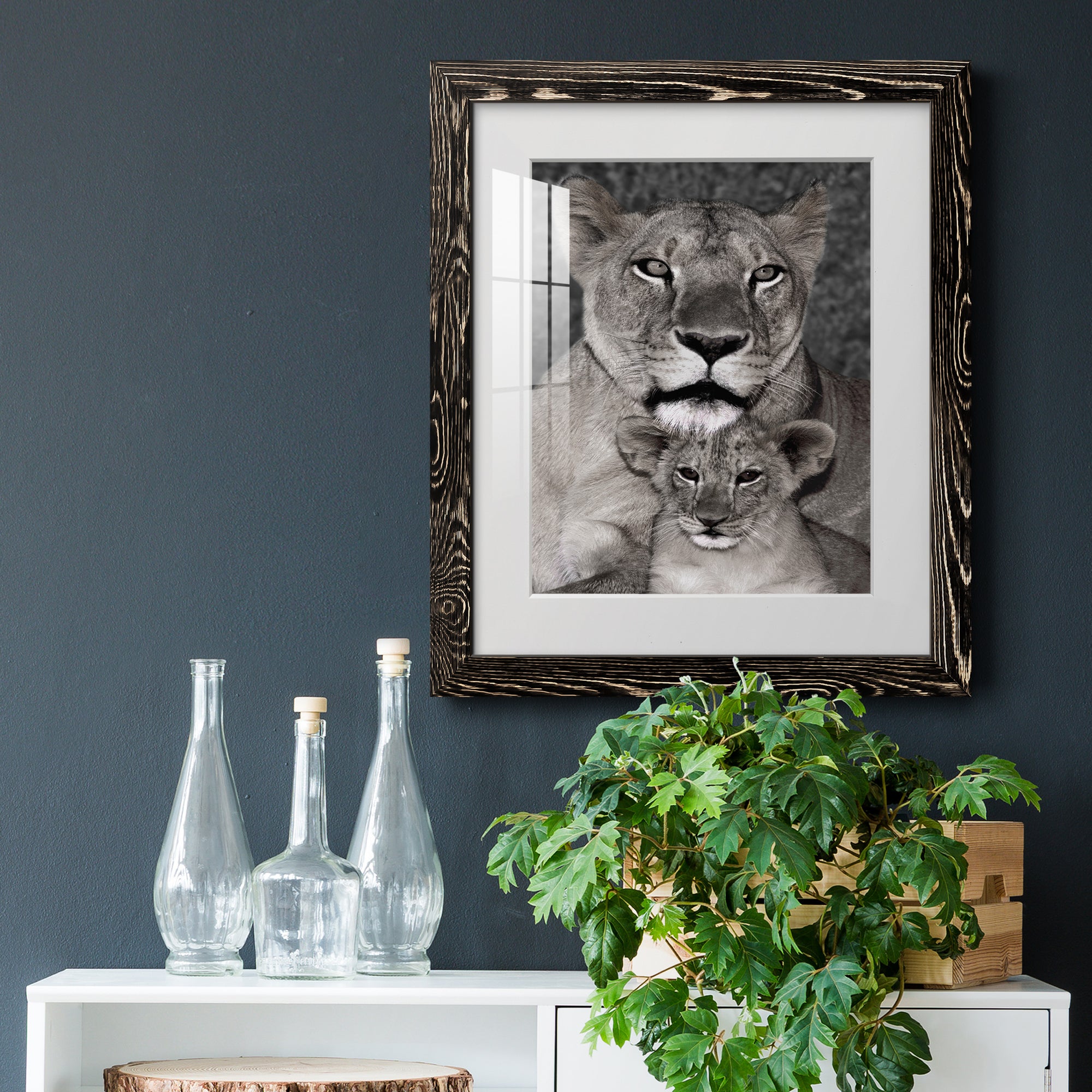 Lioness and Cub - Barnwood Framed Art Print