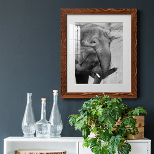 Tender Moment - Barnwood Framed Art Print