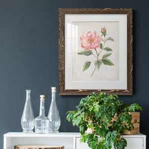 Grandiflora II - Barnwood Framed Art Print