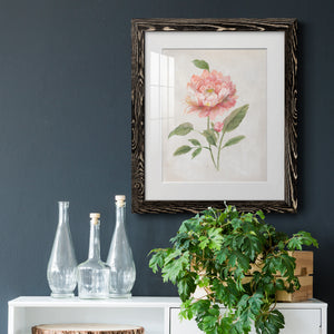 Grandiflora III - Barnwood Framed Art Print
