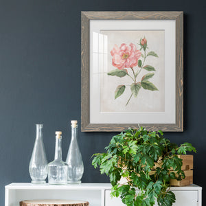Grandiflora II - Barnwood Framed Art Print
