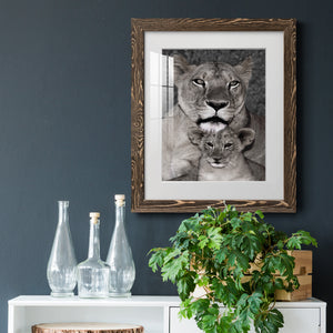Lioness and Cub - Barnwood Framed Art Print