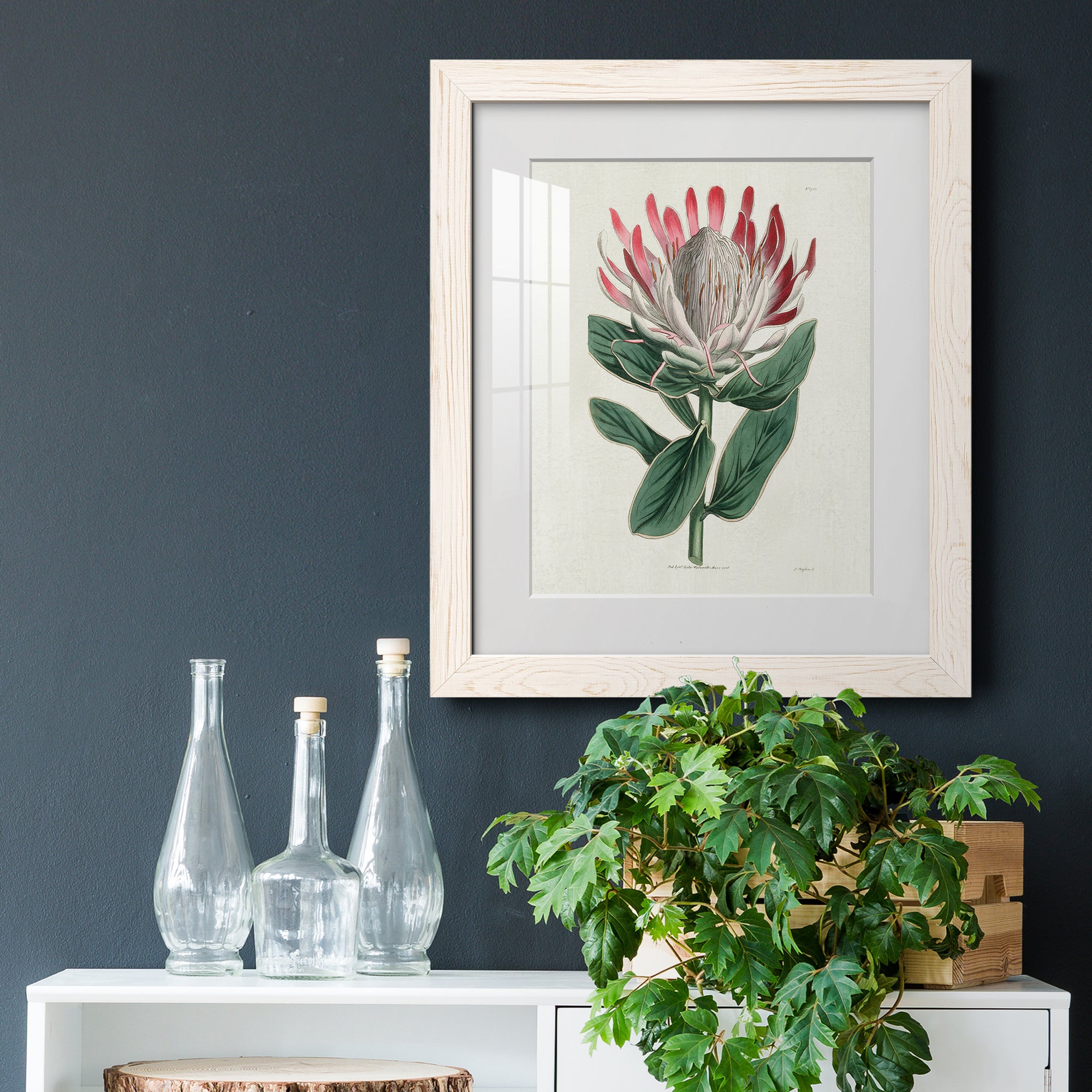 Protea N13 - Barnwood Framed Art Print