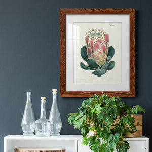 Protea N83 - Barnwood Framed Art Print