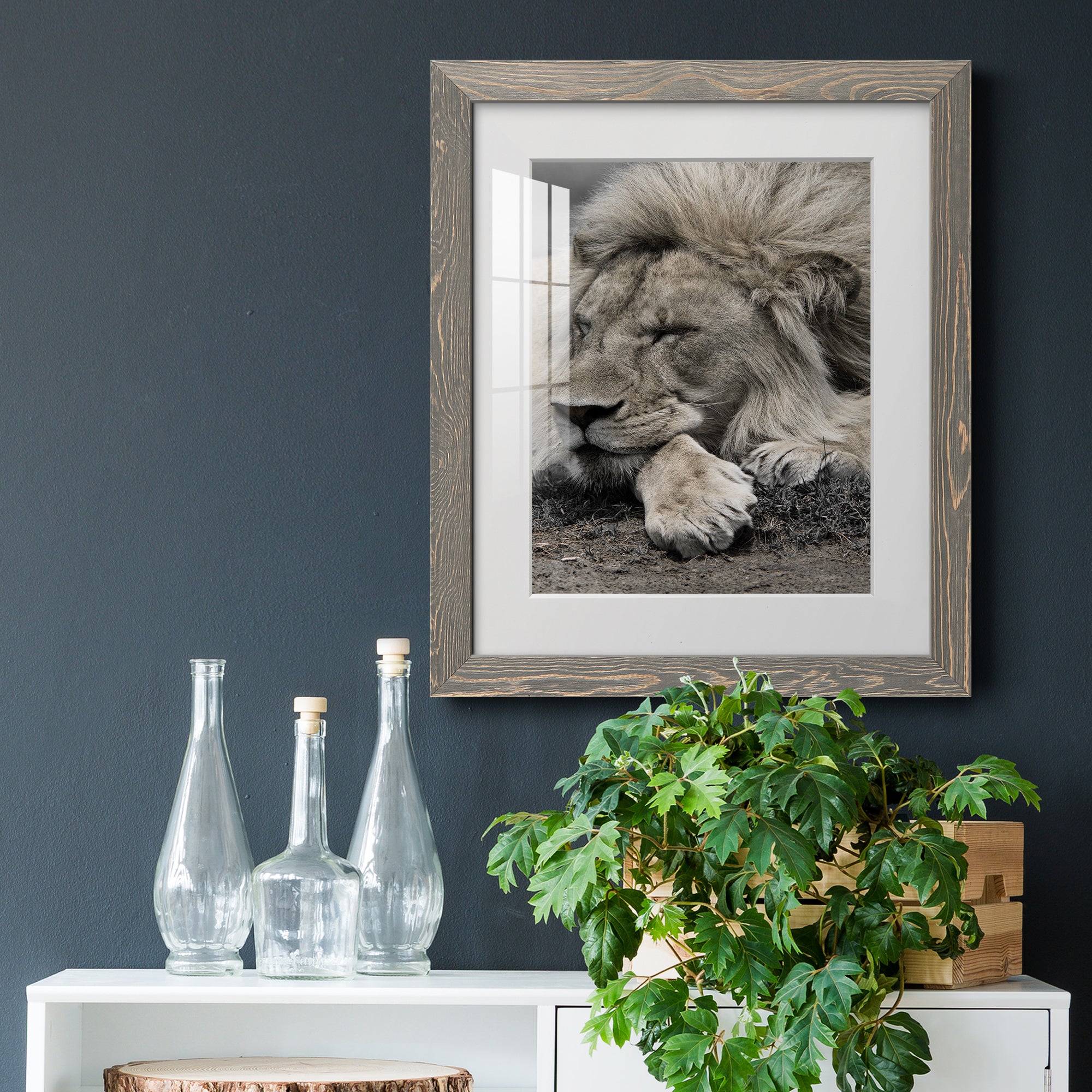 Sleepy Afternoon in Masai Mara - Barnwood Framed Art Print