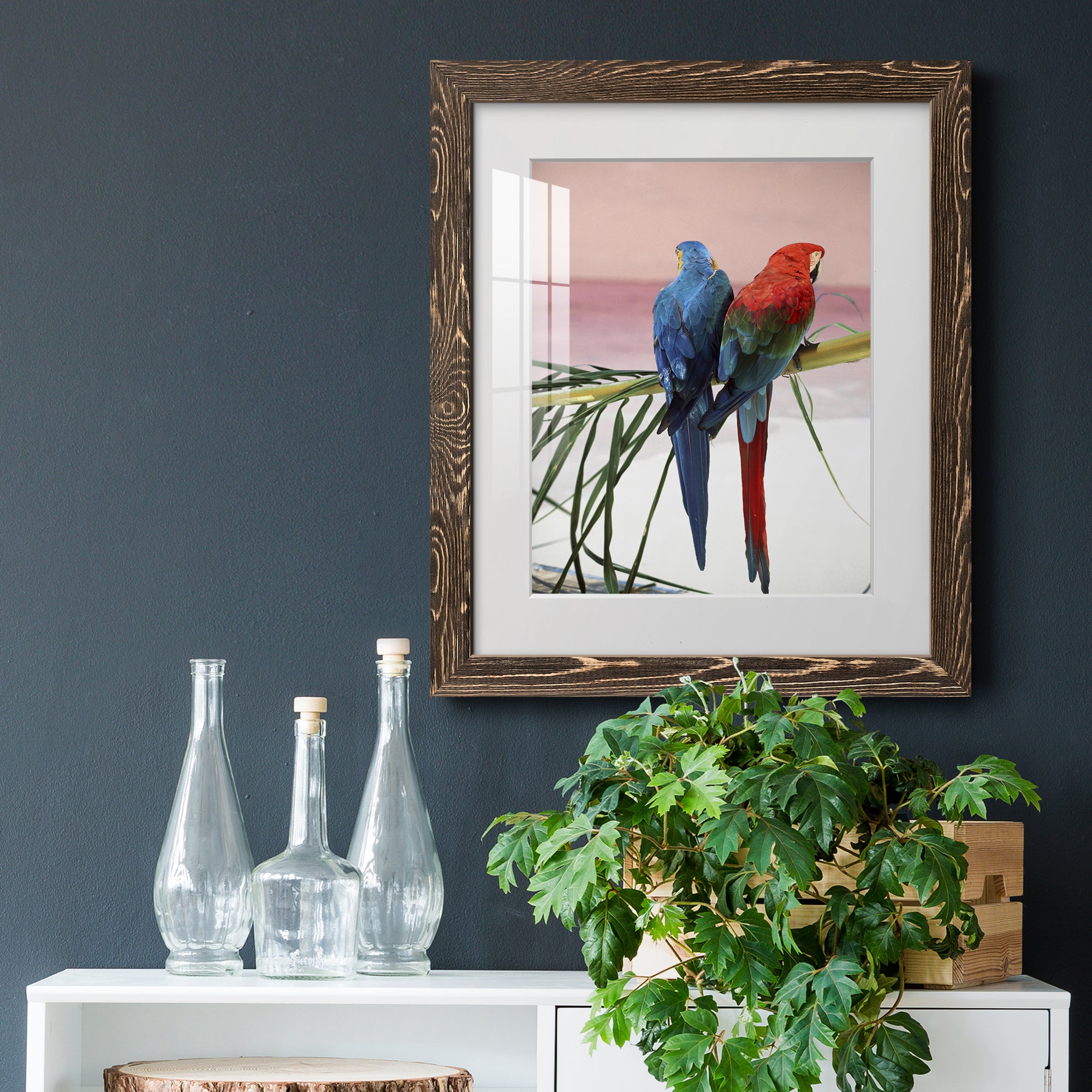 Palm Parrots - Barnwood