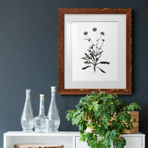 Inky Botanical I - Premium Framed Print - Distressed Barnwood Frame - Ready to Hang