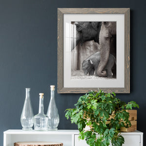 Family Moment - Barnwood Framed Art Print