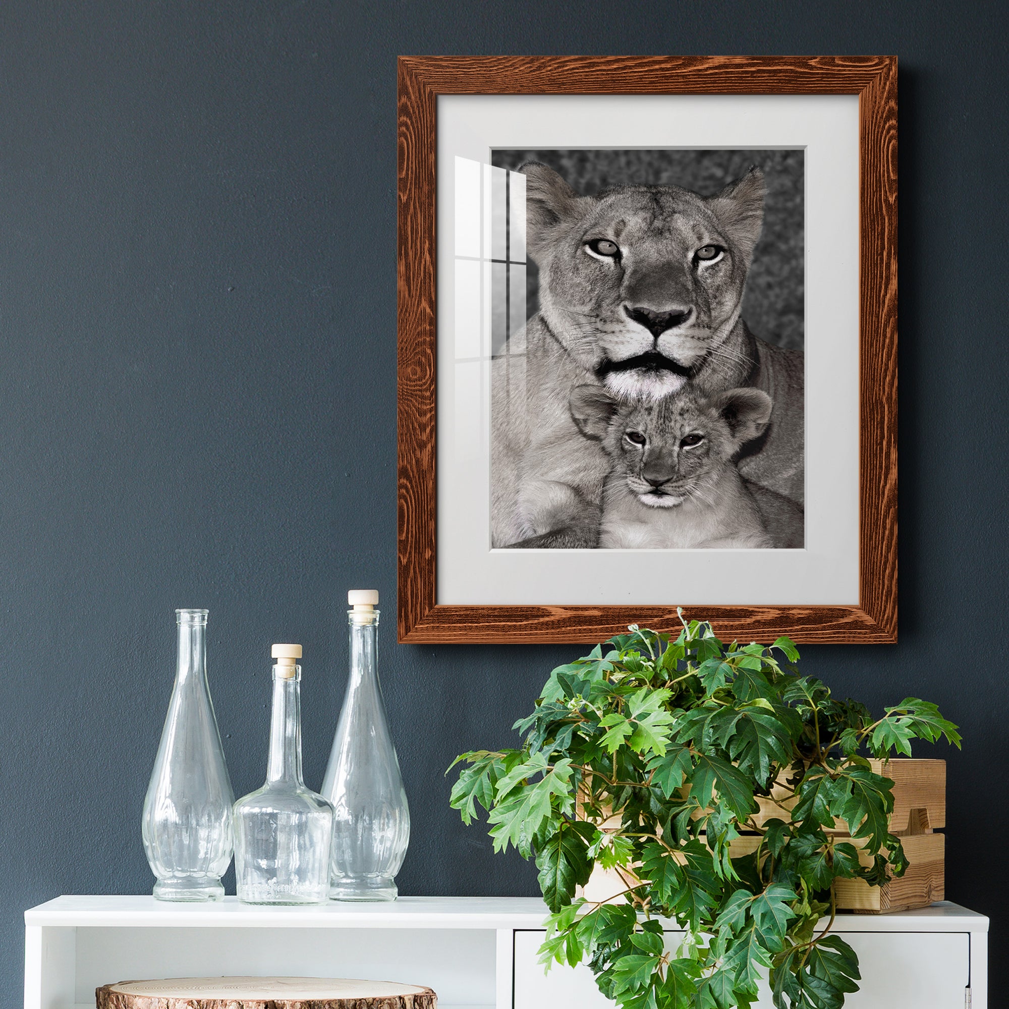 Lioness and Cub - Barnwood Framed Art Print