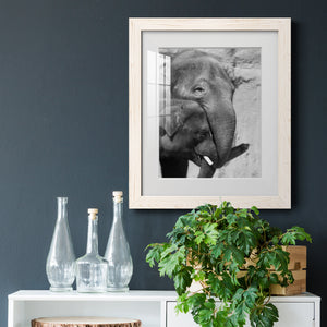 Tender Moment - Barnwood Framed Art Print