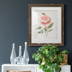 Grandiflora III - Barnwood Framed Art Print