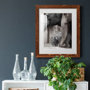 Family Moment - Barnwood Framed Art Print