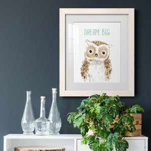 Dream Big Owl - Barnwood