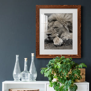 Sleepy Afternoon in Masai Mara - Barnwood Framed Art Print
