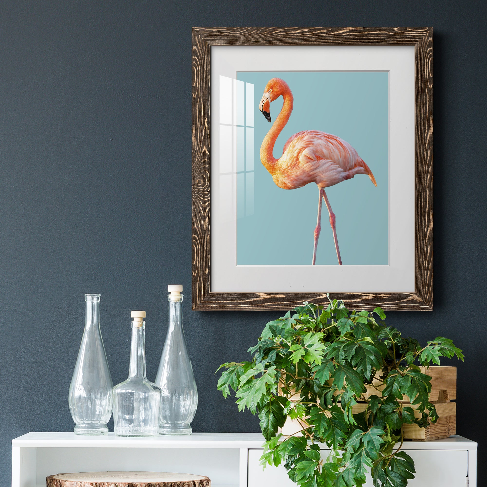 Flamingo - Barnwood