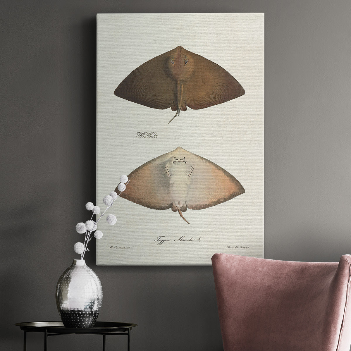 Antique Rays II Premium Gallery Wrapped Canvas - Ready to Hang