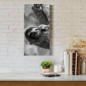 Sloth Swing - Premium Gallery Wrapped Canvas - Ready to Hang