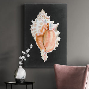 Graphic Pink Murex Premium Gallery Wrapped Canvas - Ready to Hang