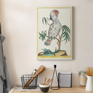 Pastel Birds II - Canvas Art Print