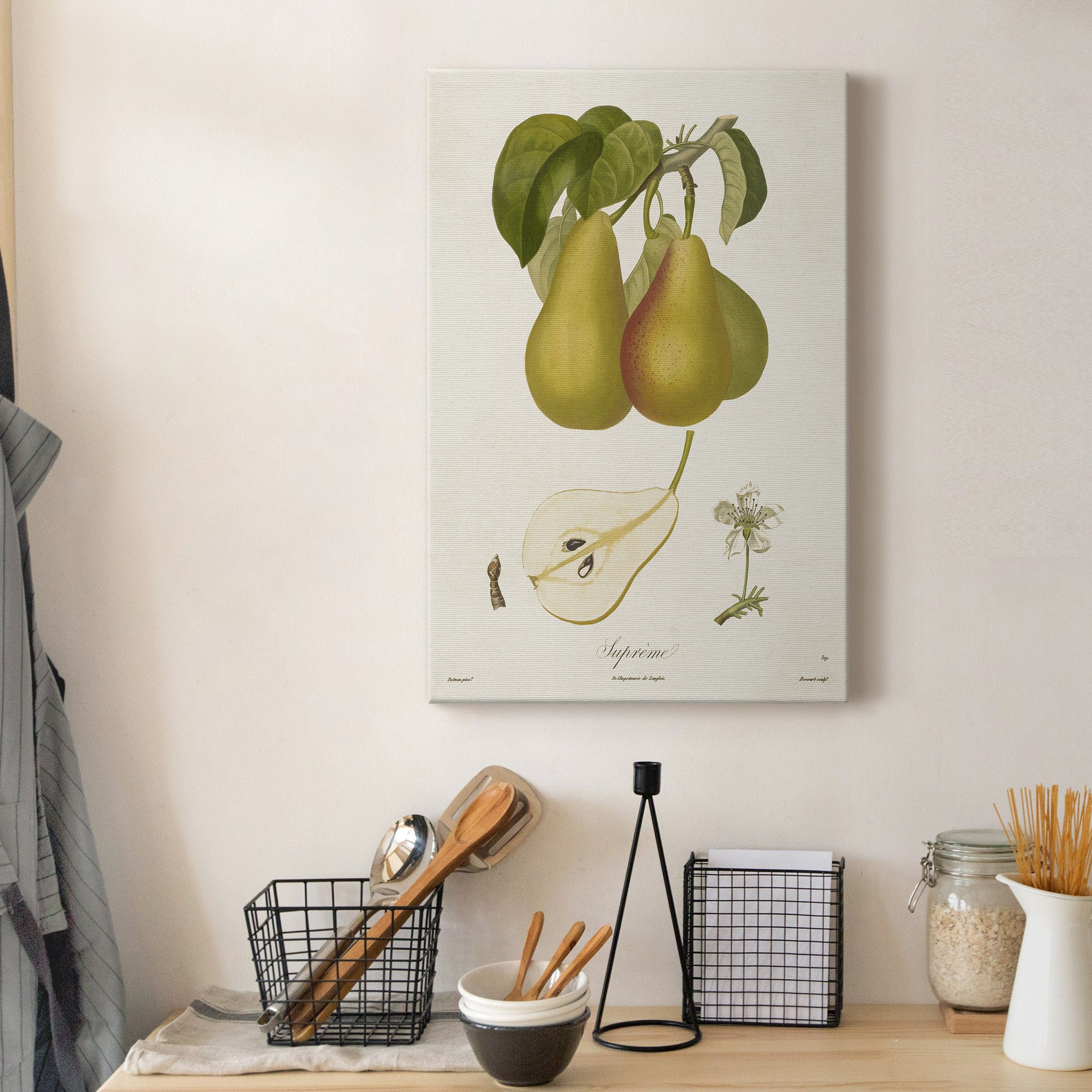 Vintage Pears V Premium Gallery Wrapped Canvas - Ready to Hang