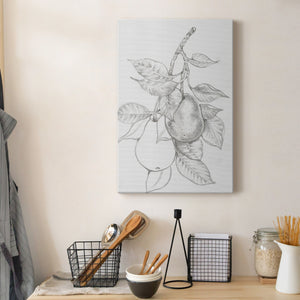 Fruit-Bearing Branch III - Canvas Art Print